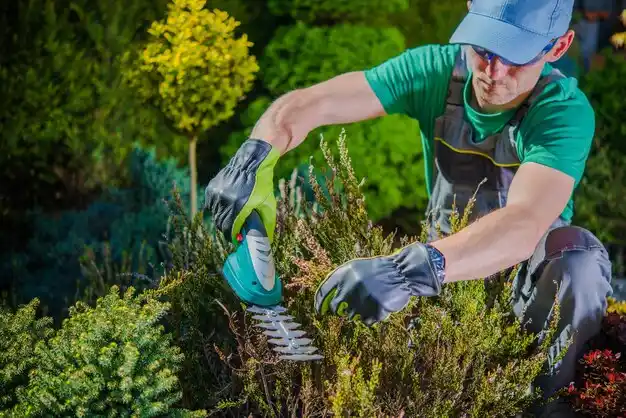 landscaping services Camargo